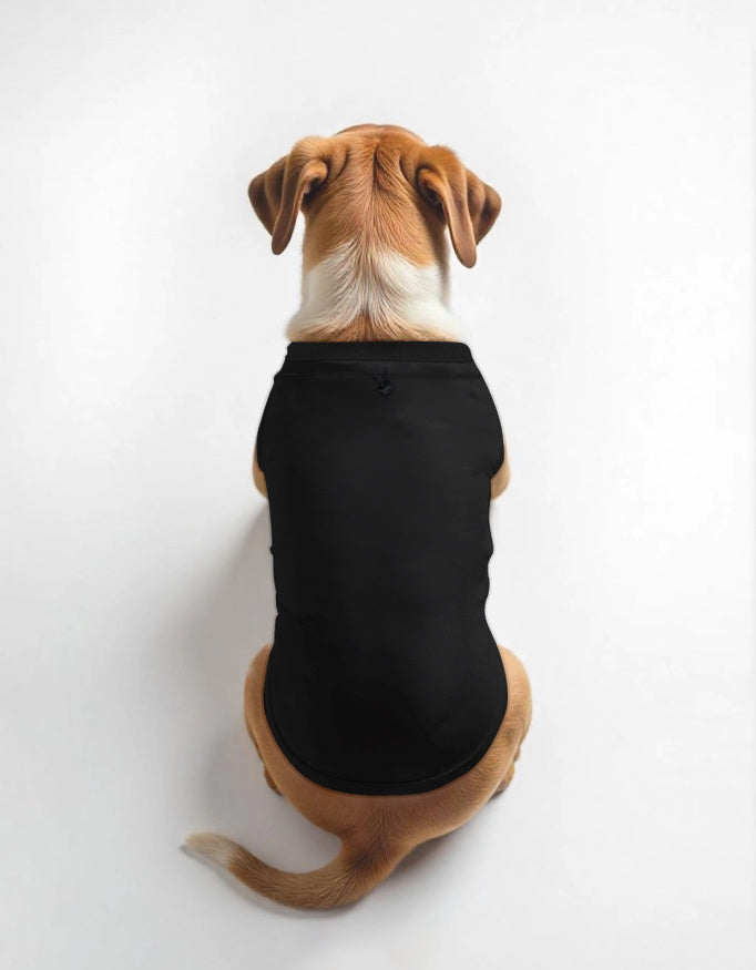 Pet Wear